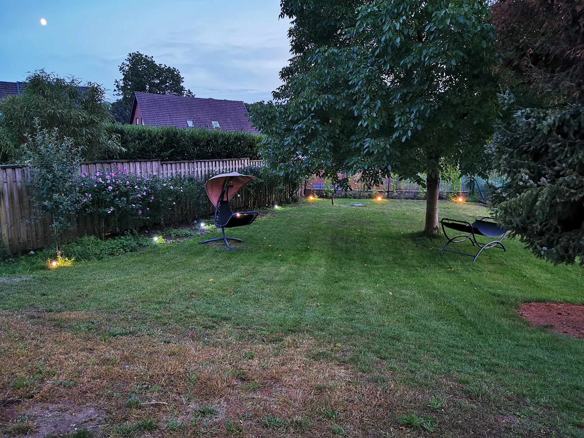 The garden in the evening with trees and lit paths